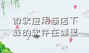 微软应用商店下载的软件在哪里（微软商店下载的应用在哪个文件夹）