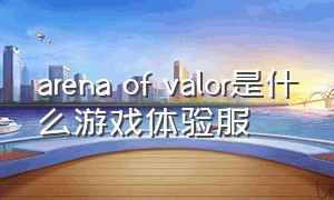 arena of valor是什么游戏体验服