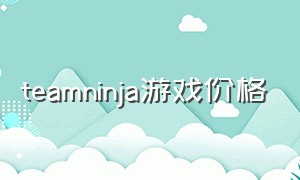 teamninja游戏价格（teamninja游戏有哪些）