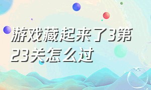 游戏藏起来了3第23关怎么过