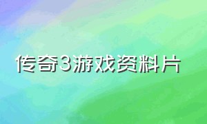 传奇3游戏资料片