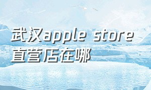 武汉apple store直营店在哪