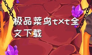 极品菜鸟txt全文下载