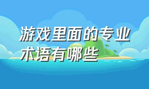 游戏里面的专业术语有哪些