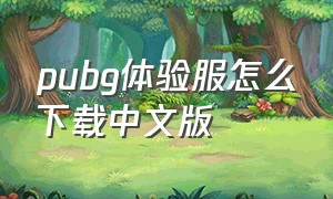 pubg体验服怎么下载中文版