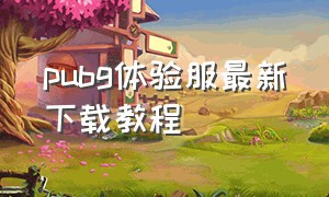 pubg体验服最新下载教程