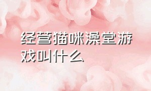 经营猫咪澡堂游戏叫什么