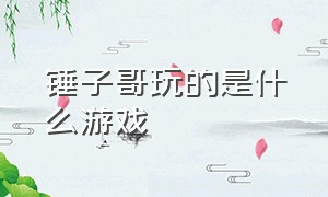 锤子哥玩的是什么游戏