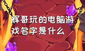 辉哥玩的电脑游戏名字是什么