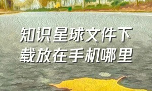 知识星球文件下载放在手机哪里