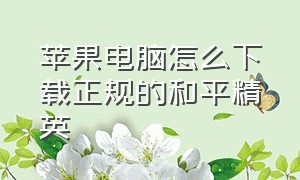 苹果电脑怎么下载正规的和平精英