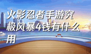 火影忍者手游究极风暴4钱有什么用（火影忍者究极风暴4钱币有什么用）