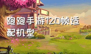 跑跑手游120帧适配机型（跑跑手游120帧适配机型有哪些）