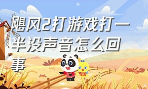 飓风2打游戏打一半没声音怎么回事