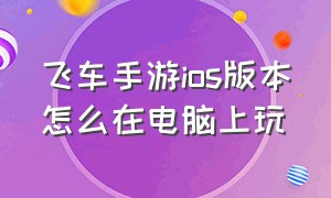 飞车手游ios版本怎么在电脑上玩