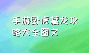 手游卧虎藏龙攻略大全图文（手游卧虎藏龙官网）