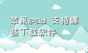 苹果ipad 支持哪些下载软件