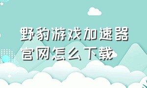 野豹游戏加速器官网怎么下载