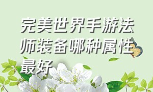 完美世界手游法师装备哪种属性最好