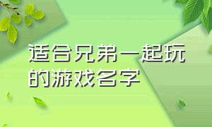 适合兄弟一起玩的游戏名字