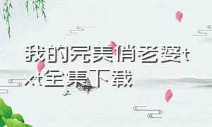 我的完美俏老婆txt全集下载（我的冰山美人老婆txt全集下载）