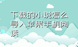 下载的小说怎么导入苹果手机阅读（怎么把下载的小说放在苹果手机里）