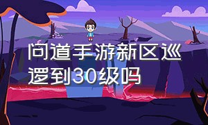 问道手游新区巡逻到30级吗