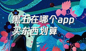 黑五在哪个app买东西划算