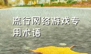 流行网络游戏专用术语