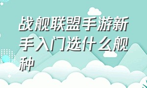 战舰联盟手游新手入门选什么舰种（战舰联盟手游哪个舰最好）