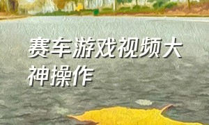 赛车游戏视频大神操作