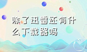 除了迅雷还有什么下载器吗（有什么下载软件替代迅雷了吗）