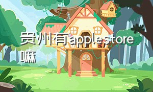 贵州有applestore嘛