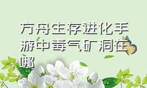 方舟生存进化手游中毒气矿洞在哪（方舟生存进化手游下载正版中文联机）