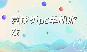 竞技类pc单机游戏（pc版动作单机游戏）