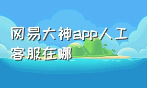 网易大神app人工客服在哪