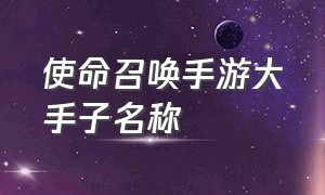 使命召唤手游大手子名称