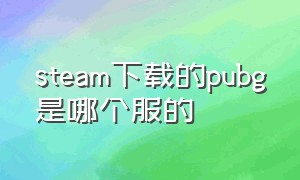 steam下载的pubg是哪个服的