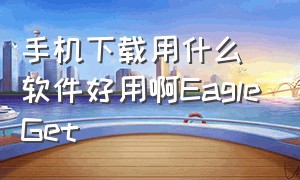 手机下载用什么软件好用啊EagleGet