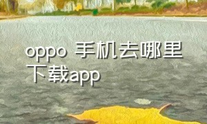 oppo 手机去哪里下载app（oppo手机在哪儿下载软件）