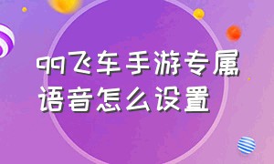 qq飞车手游专属语音怎么设置