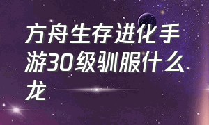 方舟生存进化手游30级驯服什么龙