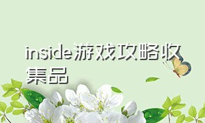 inside游戏攻略收集品