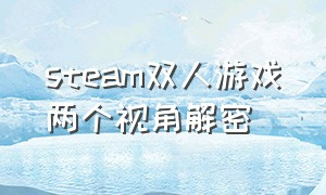 steam双人游戏两个视角解密