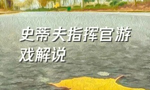 史蒂夫指挥官游戏解说