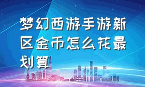 梦幻西游手游新区金币怎么花最划算（梦幻西游手游新区怎么弄银币）