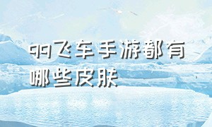 qq飞车手游都有哪些皮肤（qq飞车手游挂机辅助免费）