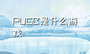 PUGB是什么游戏（pubg属于什么型的游戏）