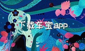 下载车宝app（车宝app官方下载）