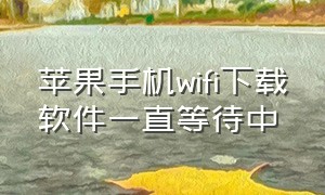 苹果手机wifi下载软件一直等待中